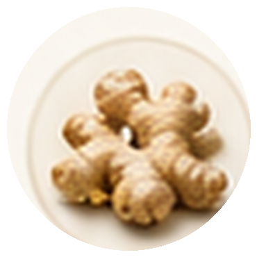 Ginger