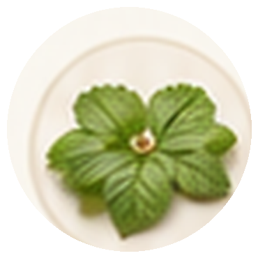 Goldenseal