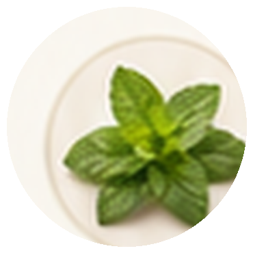 Peppermint